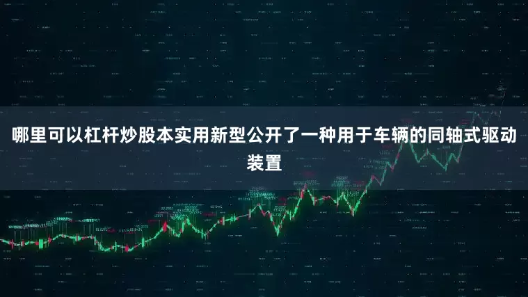 哪里可以杠杆炒股本实用新型公开了一种用于车辆的同轴式驱动装置